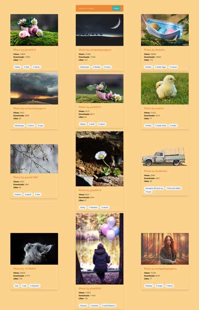 Image Gallery with React and TailwindCSS with Pixabay API